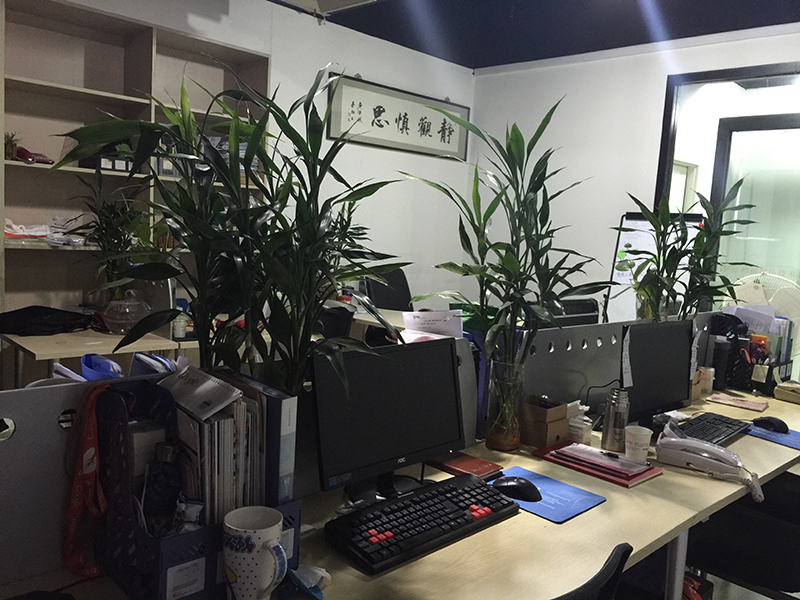 橙樹網絡辦公環(huán)境展示